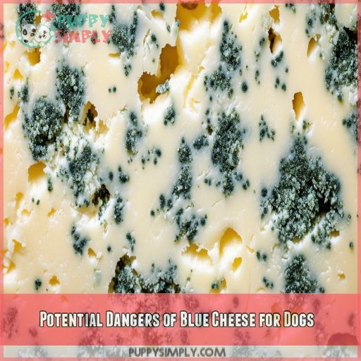 Potential Dangers of Blue Cheese for Dogs