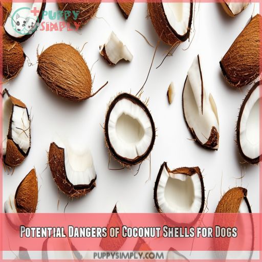 Potential Dangers of Coconut Shells for Dogs