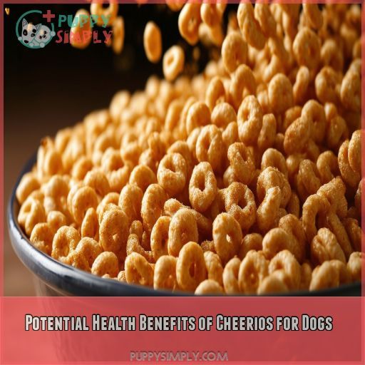 Potential Health Benefits of Cheerios for Dogs