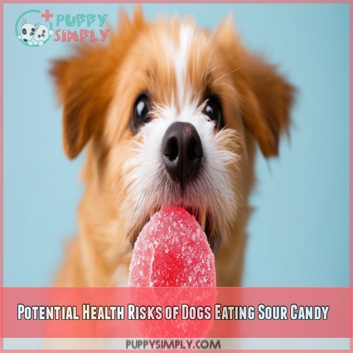 Potential Health Risks of Dogs Eating Sour Candy
