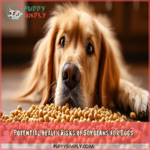 Potential Health Risks of Soybeans for Dogs