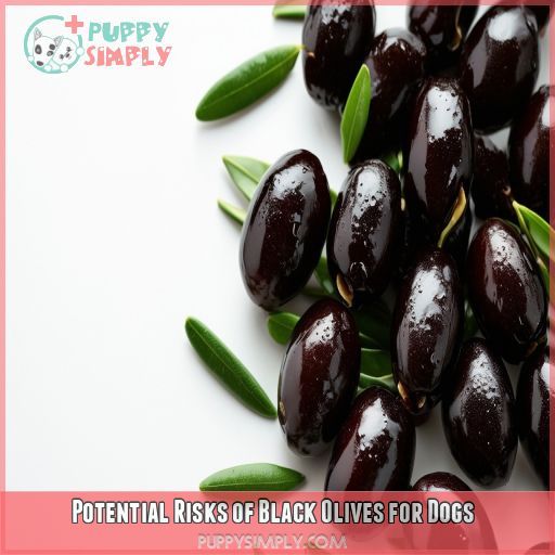 Potential Risks of Black Olives for Dogs