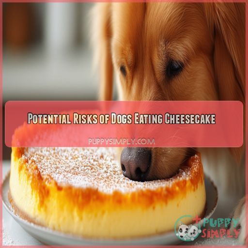 Potential Risks of Dogs Eating Cheesecake