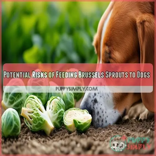 Potential Risks of Feeding Brussels Sprouts to Dogs