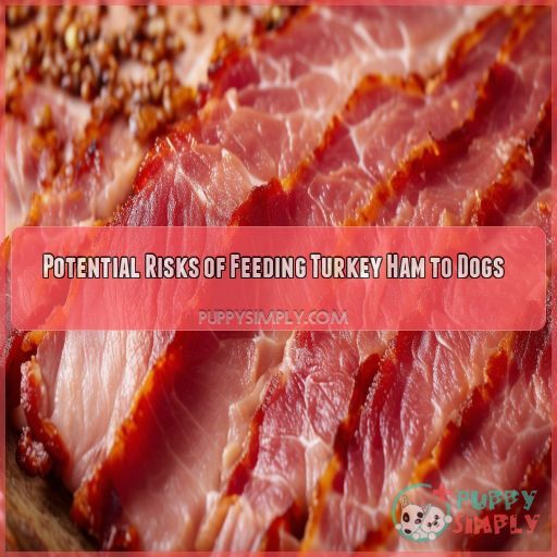 Potential Risks of Feeding Turkey Ham to Dogs