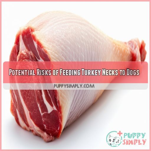 Potential Risks of Feeding Turkey Necks to Dogs