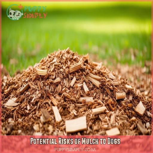 Potential Risks of Mulch to Dogs