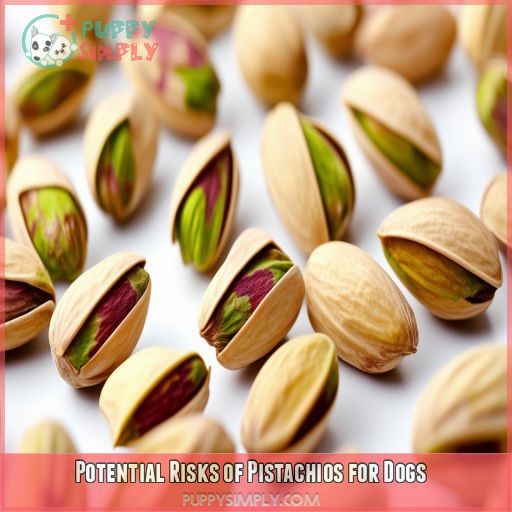 Potential Risks of Pistachios for Dogs