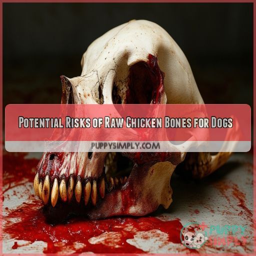 Potential Risks of Raw Chicken Bones for Dogs