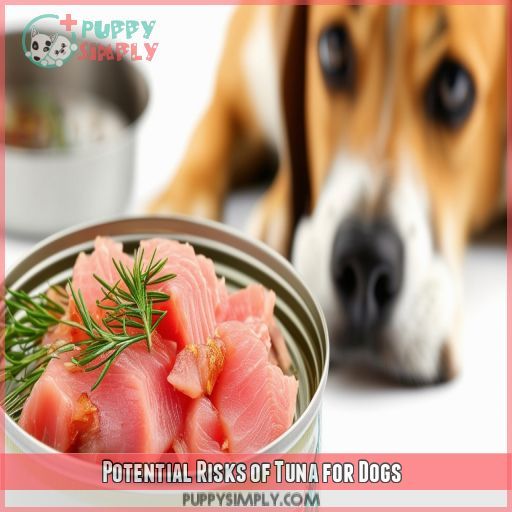 Potential Risks of Tuna for Dogs