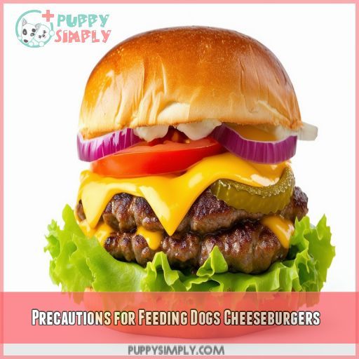 Precautions for Feeding Dogs Cheeseburgers