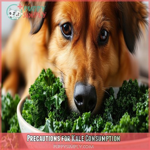 Precautions for Kale Consumption