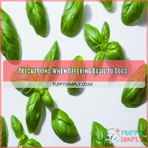 Precautions When Offering Basil to Dogs