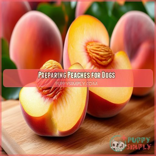 Preparing Peaches for Dogs
