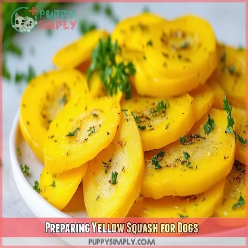 Preparing Yellow Squash for Dogs