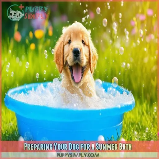 Preparing Your Dog for a Summer Bath