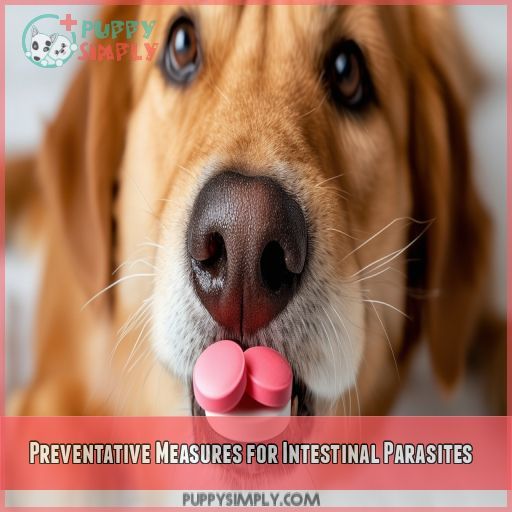 Preventative Measures for Intestinal Parasites