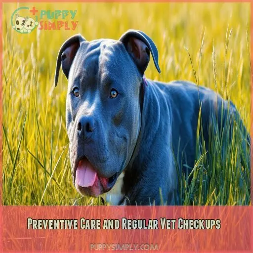 Preventive Care and Regular Vet Checkups