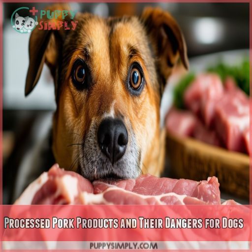 Processed Pork Products and Their Dangers for Dogs