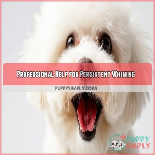 Professional Help for Persistent Whining Professional Help for Persistent Whining