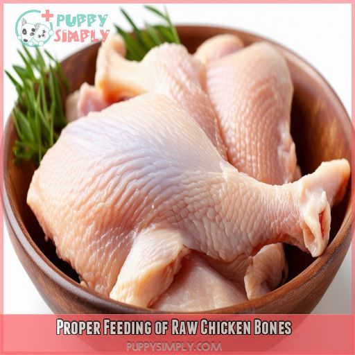 Proper Feeding of Raw Chicken Bones