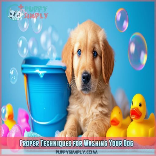 Proper Techniques for Washing Your Dog