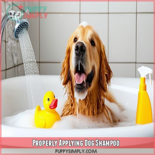 Properly Applying Dog Shampoo