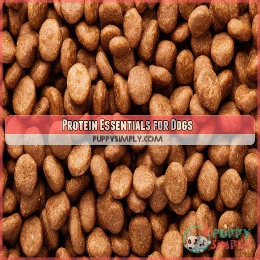 Protein Essentials for Dogs