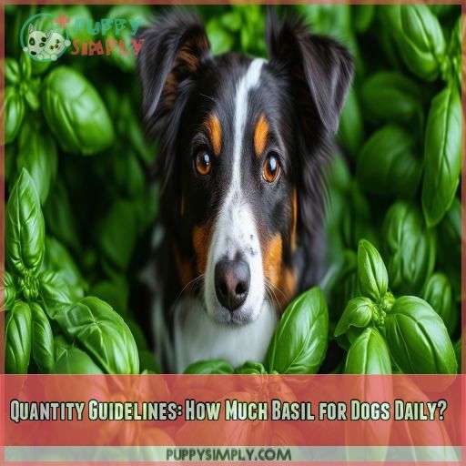 Quantity Guidelines: How Much Basil for Dogs Daily