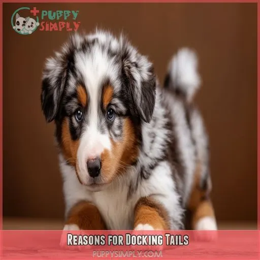 Reasons for Docking Tails