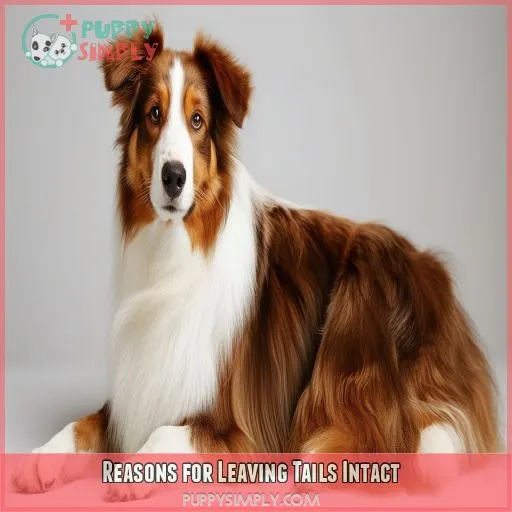 Reasons for Leaving Tails Intact