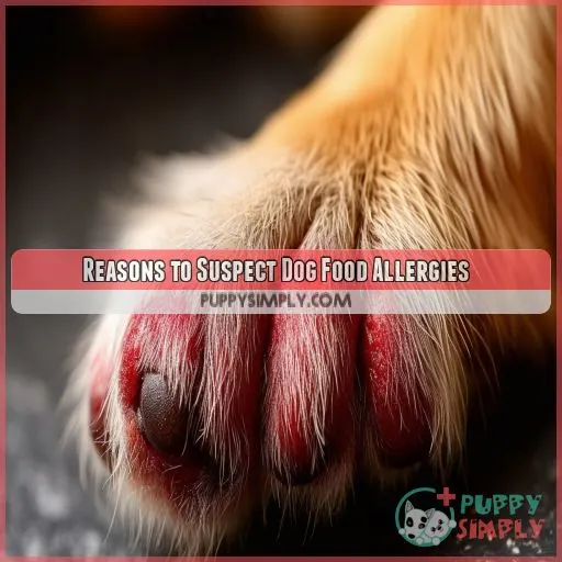 Reasons to Suspect Dog Food Allergies