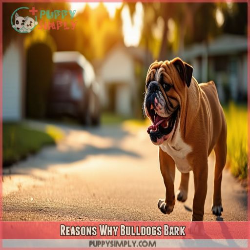 Reasons Why Bulldogs Bark