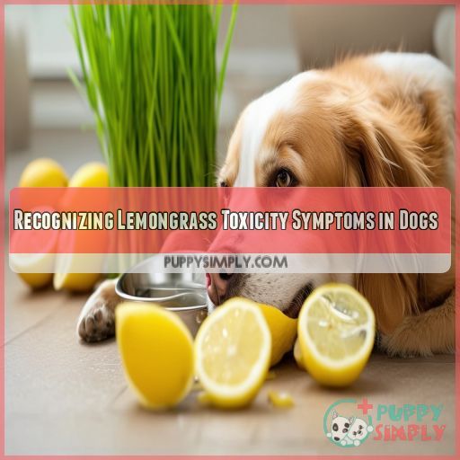Recognizing Lemongrass Toxicity Symptoms in Dogs