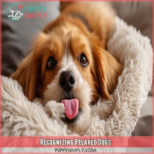 Recognizing Relaxed Dogs