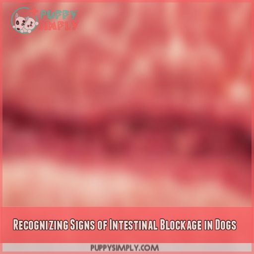 Recognizing Signs of Intestinal Blockage in Dogs
