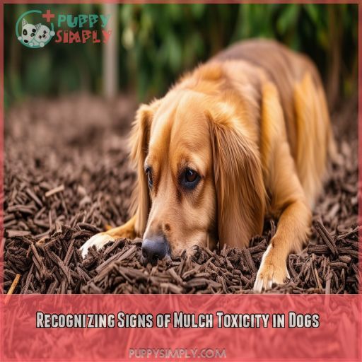 Recognizing Signs of Mulch Toxicity in Dogs