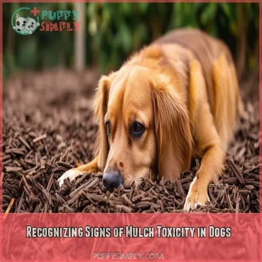 Recognizing Signs of Mulch Toxicity in Dogs