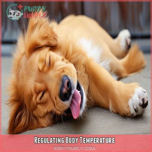 Regulating Body Temperature
