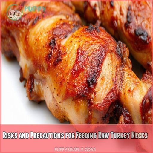 Risks and Precautions for Feeding Raw Turkey Necks