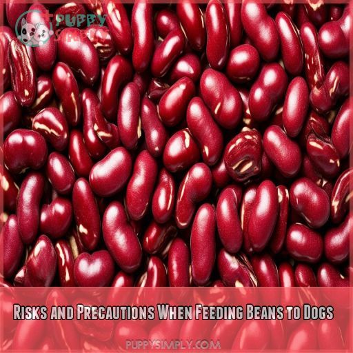 Risks and Precautions When Feeding Beans to Dogs
