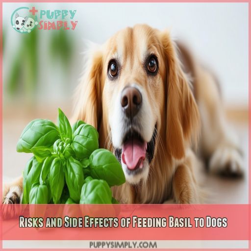 Risks and Side Effects of Feeding Basil to Dogs