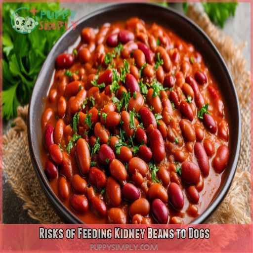 Risks of Feeding Kidney Beans to Dogs
