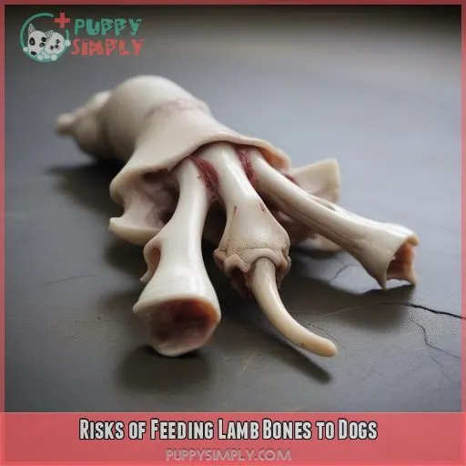 Risks of Feeding Lamb Bones to Dogs