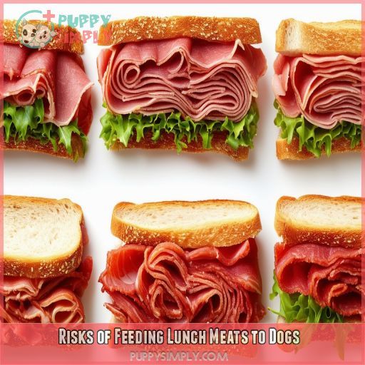 Risks of Feeding Lunch Meats to Dogs