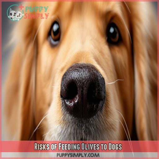 Risks of Feeding Olives to Dogs