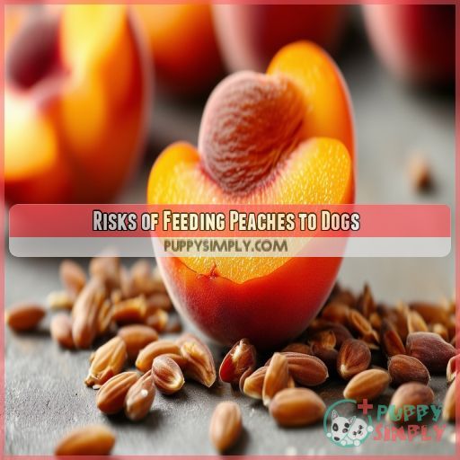 Risks of Feeding Peaches to Dogs