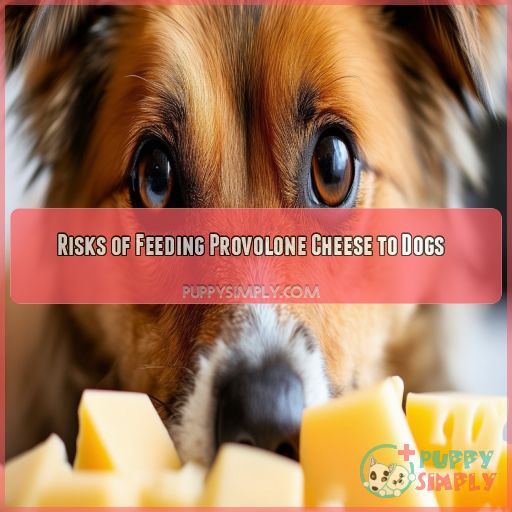 Risks of Feeding Provolone Cheese to Dogs