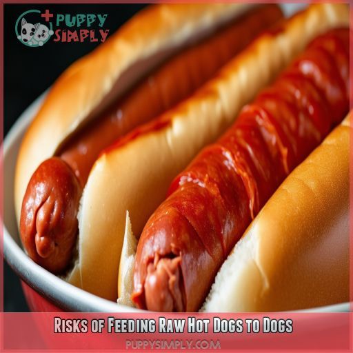 Risks of Feeding Raw Hot Dogs to Dogs