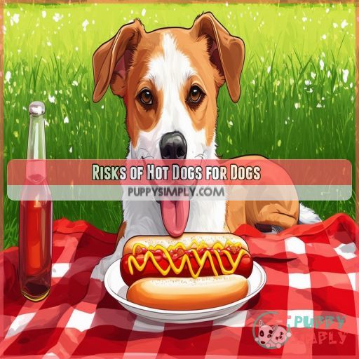 Risks of Hot Dogs for Dogs